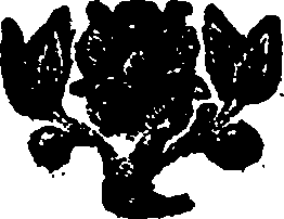 035/035600030200010_1.png