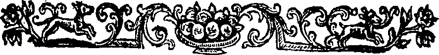 035/035640110000260_1.png