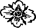 035/035660020101560_0.png
