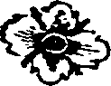 035/035660020200800_0.png