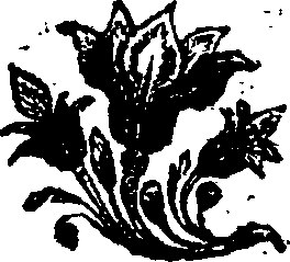 035/035680240203160_0.png