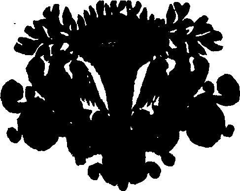 035/035830150003960_0.png