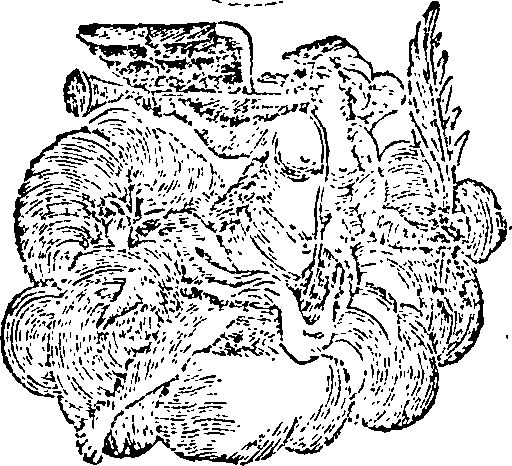 035/035860070000370_0.png
