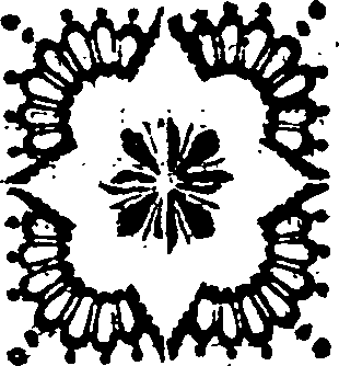 036/036160010202980_0.png