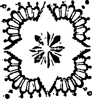 036/036160010300360_0.png