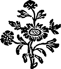 036/036180010000010_0.png