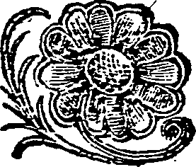 036/036200130000430_0.png