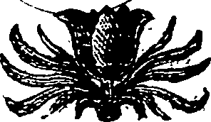036/036240110000290_0.png