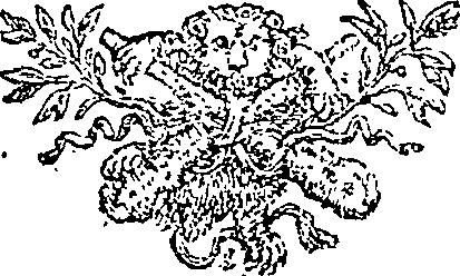 036/036300030001480_0.png