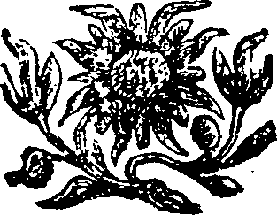 036/036330050401220_0.png