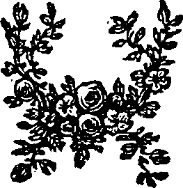 036/036390010100100_0.png