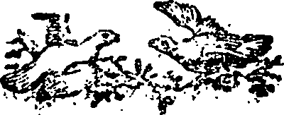 036/036390010200300_0.png