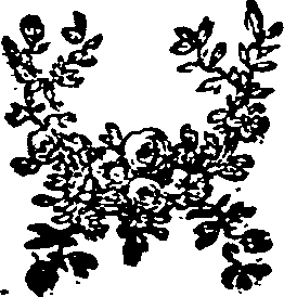 036/036390010200570_0.png