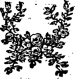 036/036390010202610_0.png