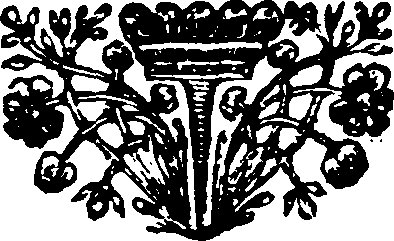 036/036590070101590_0.png