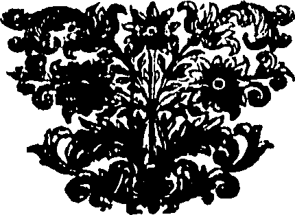 036/036620010200480_0.png