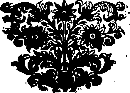 036/036620010204760_0.png