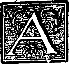036/036620010206520_1.png