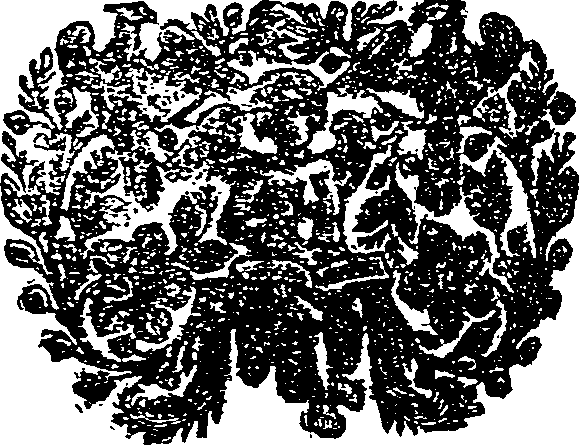 036/036710080000350_0.png