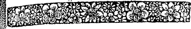 036/036780050000870_0.png
