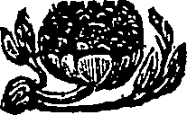 036/036780050006700_0.png
