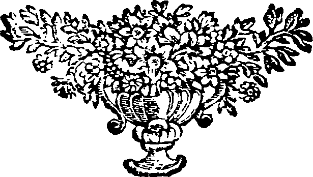 036/036910030002120_0.png