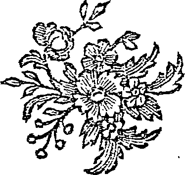036/036970050201940_0.png