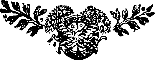 037/037080020400410_0.png