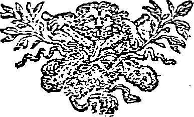 037/037080020601620_0.png