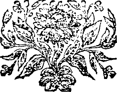 037/037100090004100_0.png