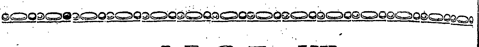 037/037220010004950_1.png
