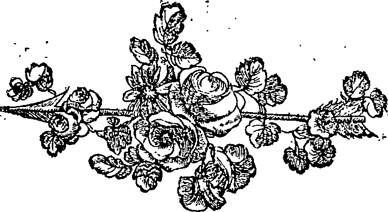 037/037330010000130_0.png