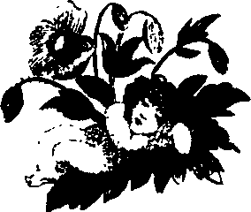 037/037380090000140_0.png