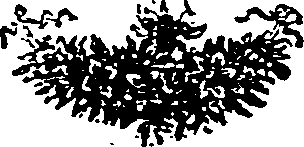 037/037440010105280_0.png
