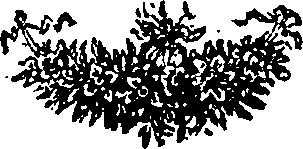 037/037440010105410_0.png