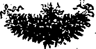 037/037440010202660_0.png