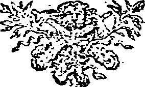 037/037440010401080_0.png