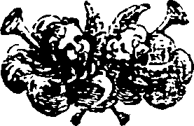 037/037440010403690_0.png