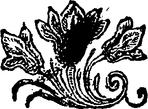 037/037490050000050_0.png