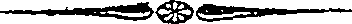 037/037520050000050_0.png