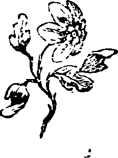 037/037640100000040_0.png