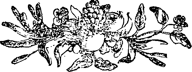 037/037700100000020_0.png
