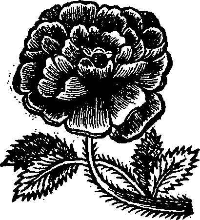 037/037790240000020_0.png