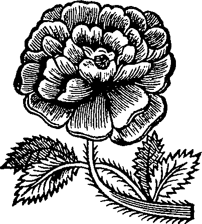 037/037790240001140_0.png