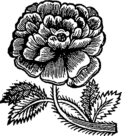 037/037790240001560_0.png