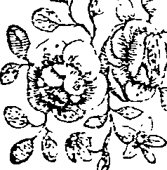 037/037800120000730_0.png