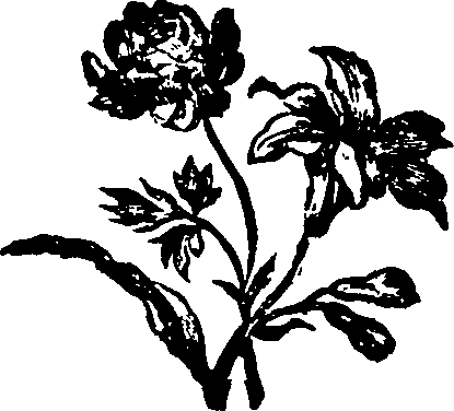 037/037950080001560_0.png