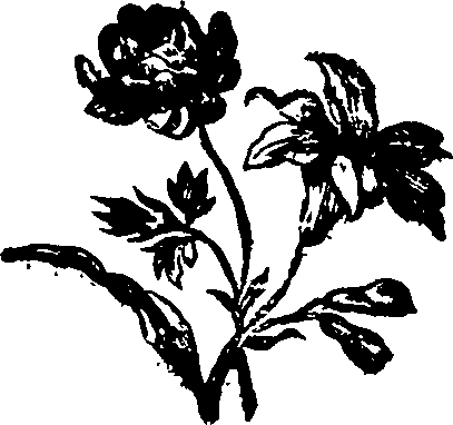 037/037950080002240_0.png