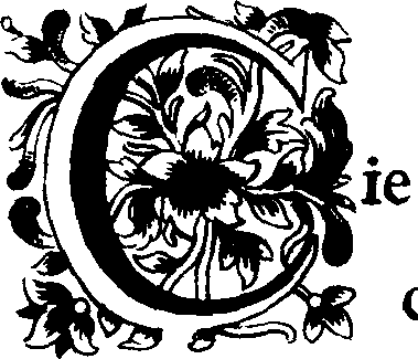037/037990010200810_0.png