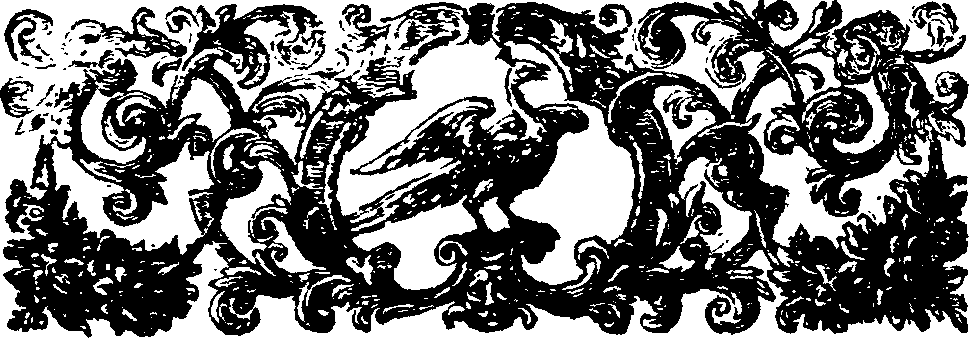 038/038010050202130_2.png